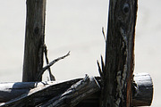 Alphabet Photography Letter H, a Nature Photo by Artistic Letters (Thumbnail 3 of 7)