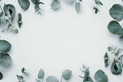 99 Frames of green leaves, a Nature Photo by Handmadefont (Thumbnail 49 of 100)