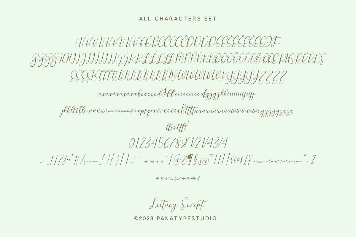 Leitucy Script Font, a Handwritten Font by Panatype™ Studio (Photo 10 of 10)