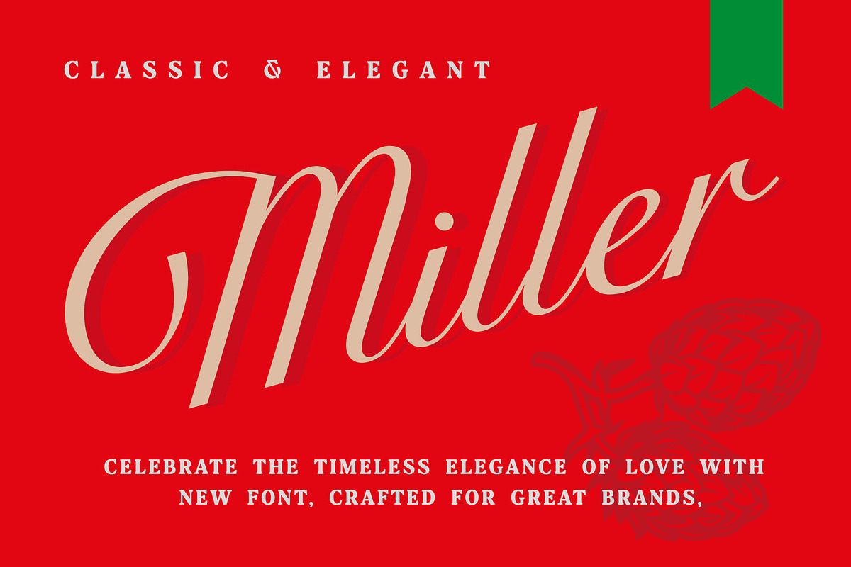 Blake Clive - Modern Script Font, a Script Font by Andfonts (Photo 3 of 6)