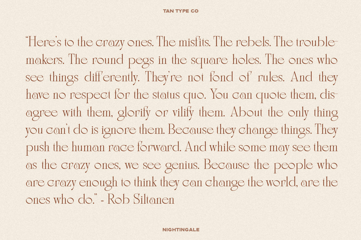 TAN - NIGHTINGALE, a Serif Font by TanType (Photo 15 of 15)