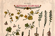 Autumn Harvest, a Seasonal Illustration by Ink Stories (Thumbnail 7 of 26)