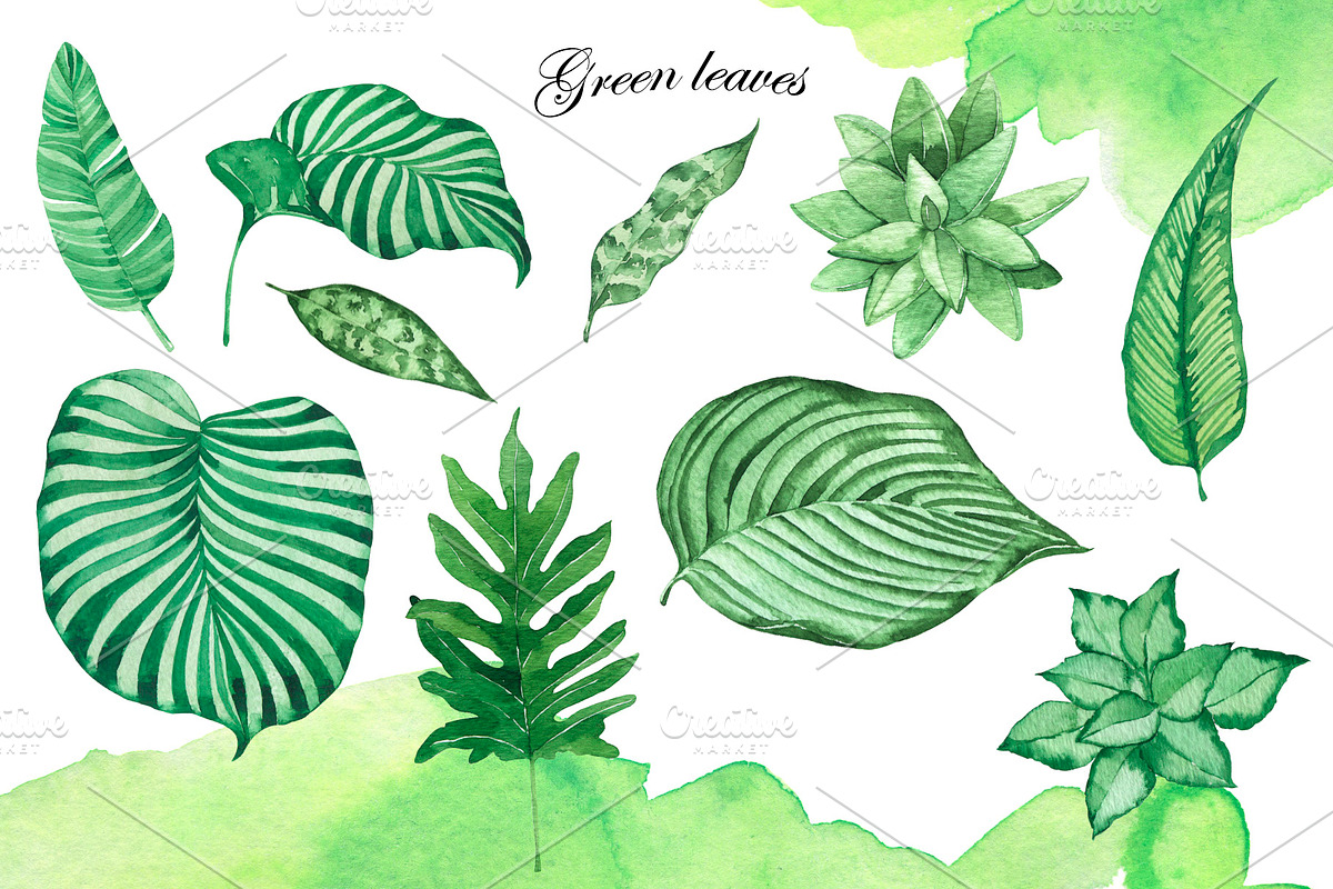 Watercolor jungle set, an Illustration by Watercolor & sketches (Photo 2 of 13)