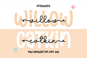 Willow Catkin Duo, a Handwritten Font by DN Creative (Thumbnail 1 of 8)