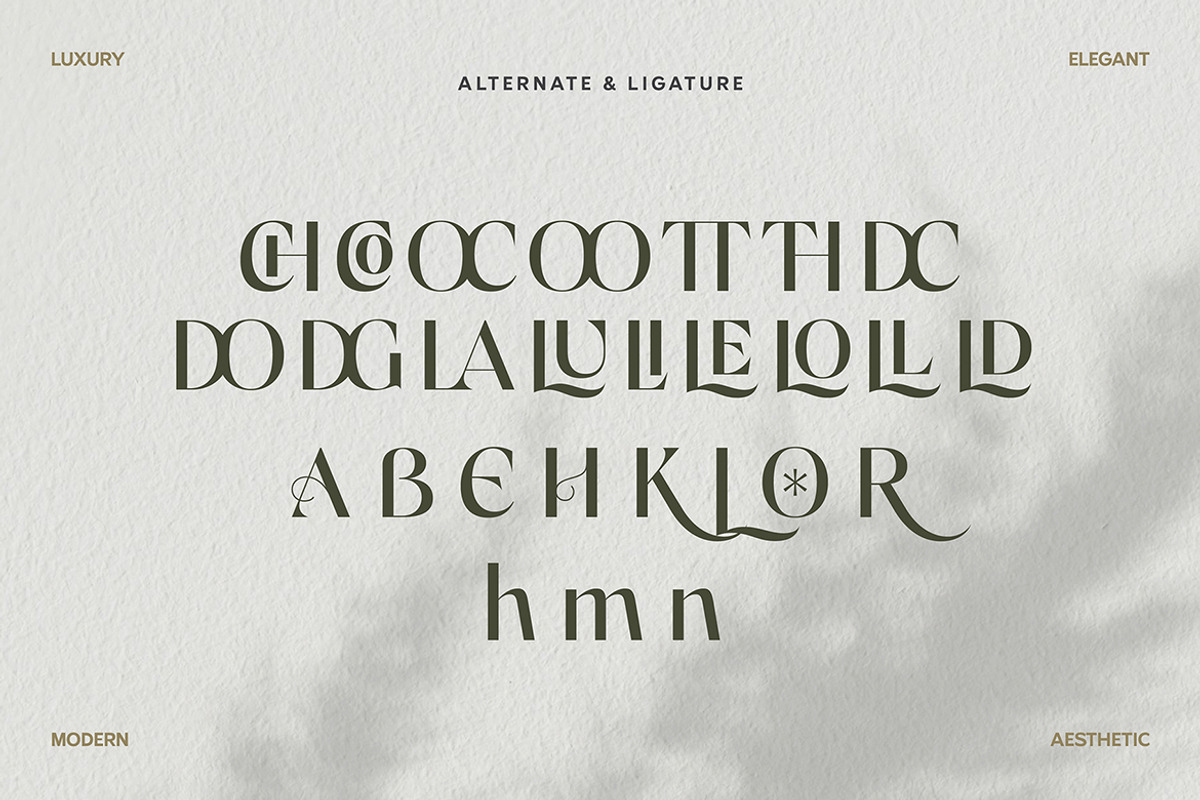 Cellina Wildrone Display, a Sans Serif Font by Eltypesstudio (Photo 5 of 13)