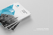 The Profile Brochure, a Brochure Template by Brochure-Market (Thumbnail 9 of 10)