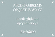 hawk sight - vintage serif, a Serif Font by Mikhail Fukurou (Thumbnail 7 of 8)