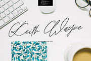 Fallenthina Thatcher, a Script Font by pineungtype (Thumbnail 11 of 11)
