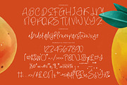 Sensation Fruity Natural Handwritten, a Script Font by stylishtype.co (Thumbnail 18 of 20)