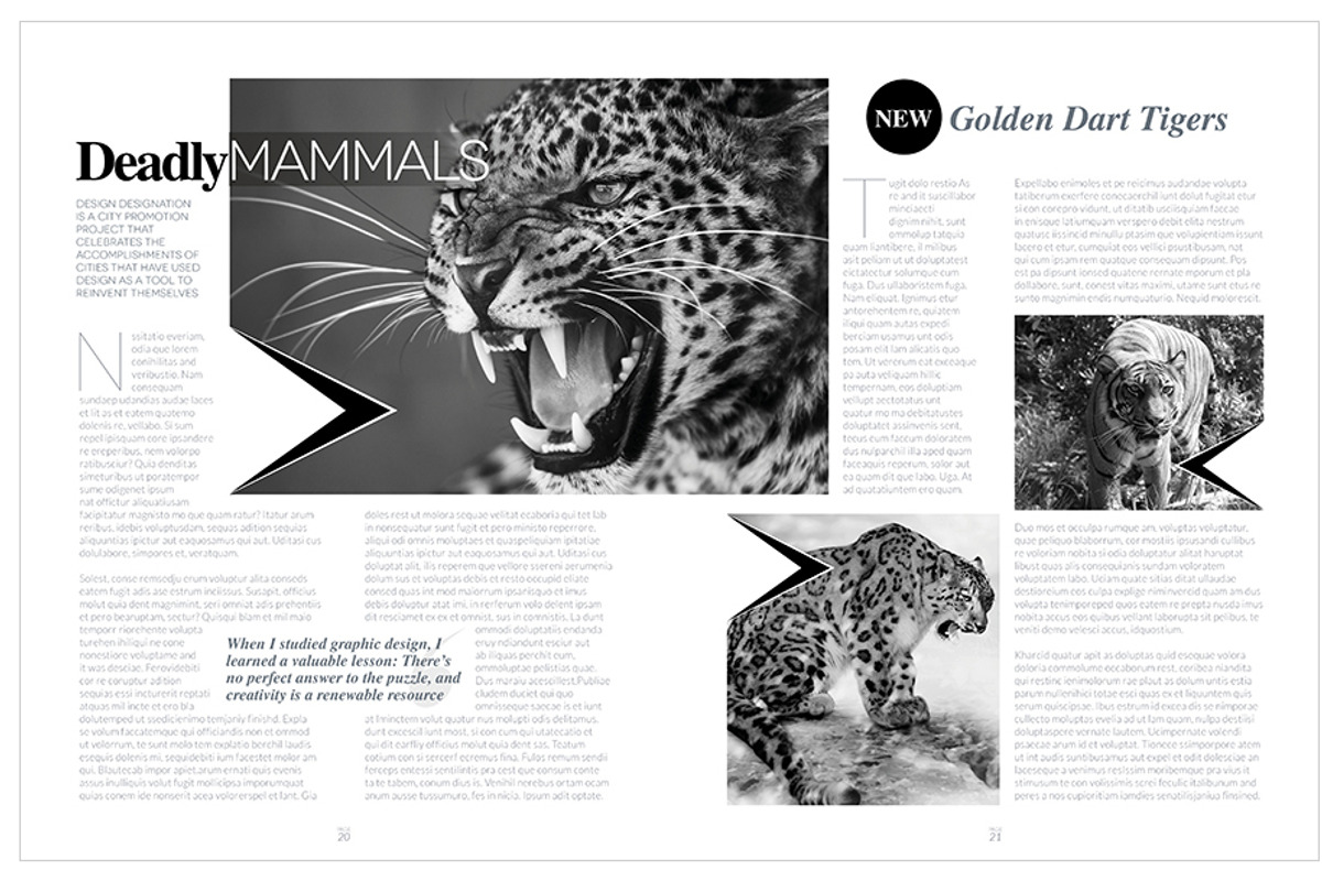 Magazine Template InDesign 13, a Magazine Template by Love Graphic Design (Photo 19 of 20)