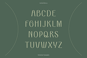 VEN - Display Typeface, a Font by Dat Do (Thumbnail 3 of 25)