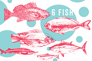 Fish, an Animal Illustration by Vera Holera (Thumbnail 3 of 7)