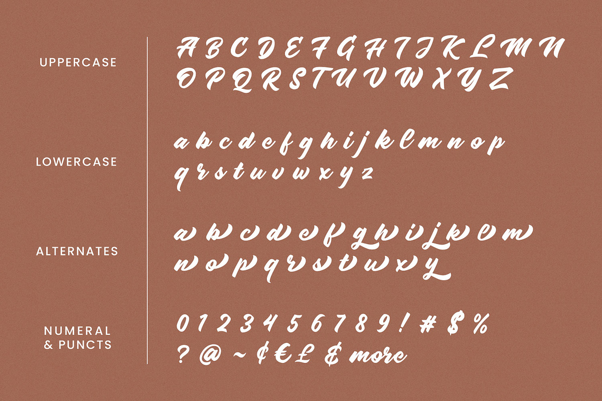 Radens - Vintage Bold Script, a Script Font by Almarkhatype (Photo 12 of 12)