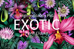 Exotic tropical flowers.