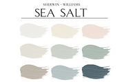 Sea Salt SW 6204 Home Paint Palette, a Presentation Template by CONCEPT COLORS (Thumbnail 2 of 9)