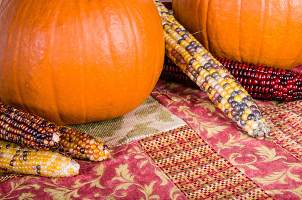 Mini Pumpkins At The Market preview 4