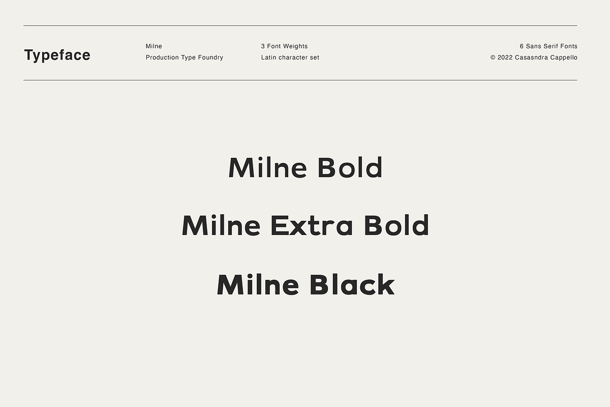 Milne - A Bold Sans Serif, a Sans Serif Font by Cassandra Cappello (Photo 4 of 11)