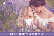 French Lavender photo overlays set, an Object Graphic by BrownLeopard (Thumbnail 6 of 6)