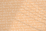 Whitteney, a Script Font by Integritype Studio (Thumbnail 13 of 15)
