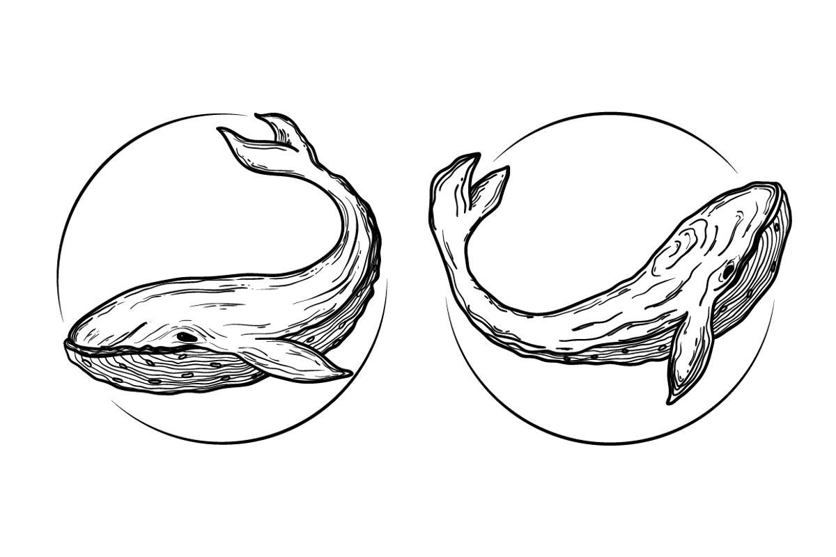 zen tangle animals and ornaments, a Decorative Illustration by Tierre3012 (Photo 13 of 24)