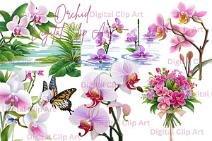 Orchid Flower Clip Art Design