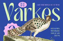 Varkes Elegant Display Typeface