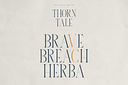 Thorn & Tale – A Refined Serif Font, a Serif Font by VP Fonts (Thumbnail 18 of 30)