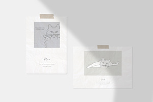 Elegant Cats Collection