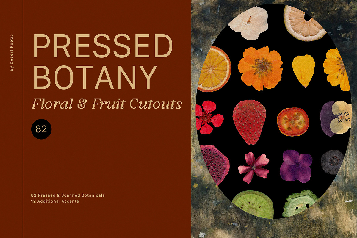 PRESSED BOTANY Floral & Fruit Cutout, an Object Graphic by Desert Poetic (Photo 1 of 10)
