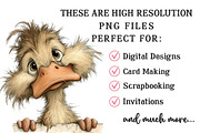 Quirky Peeking Farm Animals Clipart, an Illustration by OK Design (Thumbnail 4 of 6)