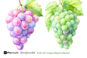 Watercolor Grapes Clipart, an Object Illustration by crafty (Thumbnail 5 of 11)