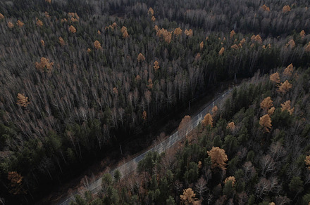 Road between autumn forest in Ural