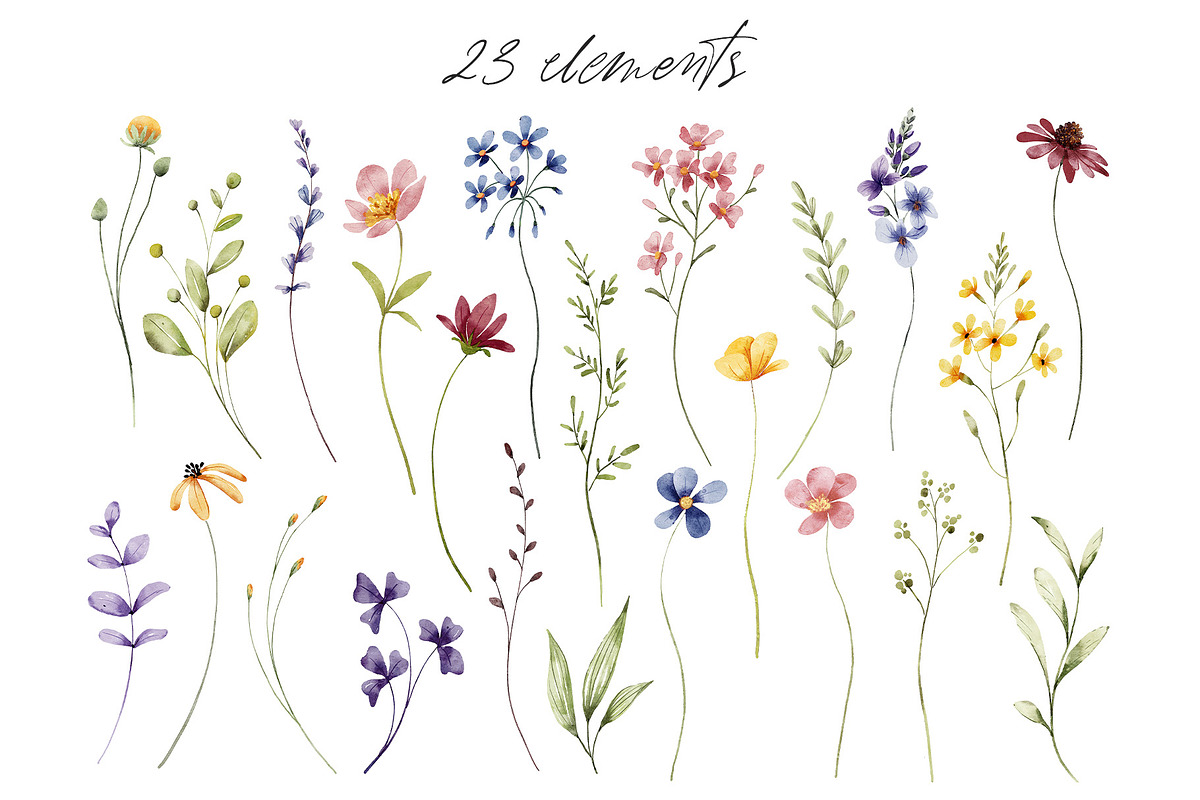 Floral watercolor set, wildflowers., a Decorative Illustration by Larisa Maslova (Photo 2 of 12)