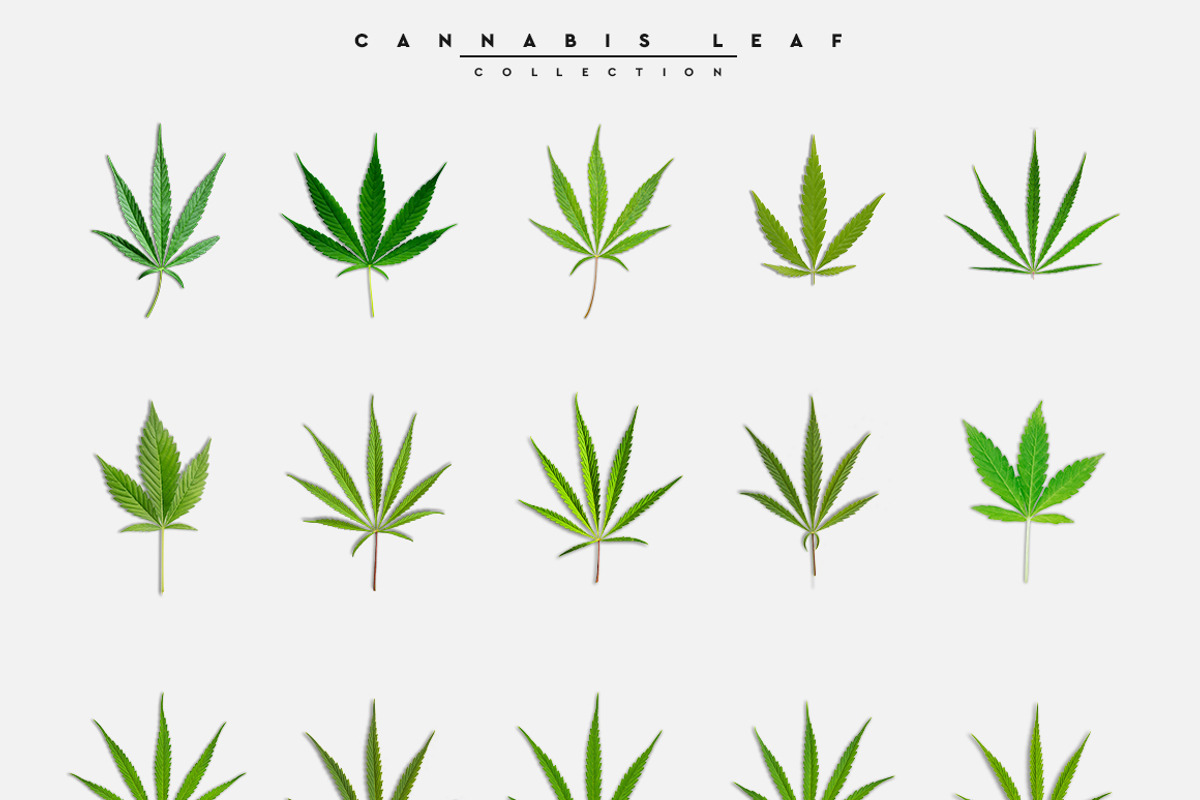 Big Pack Scene Generator, a Cups & Container Mockup by Mila (Photo 11 of 44)