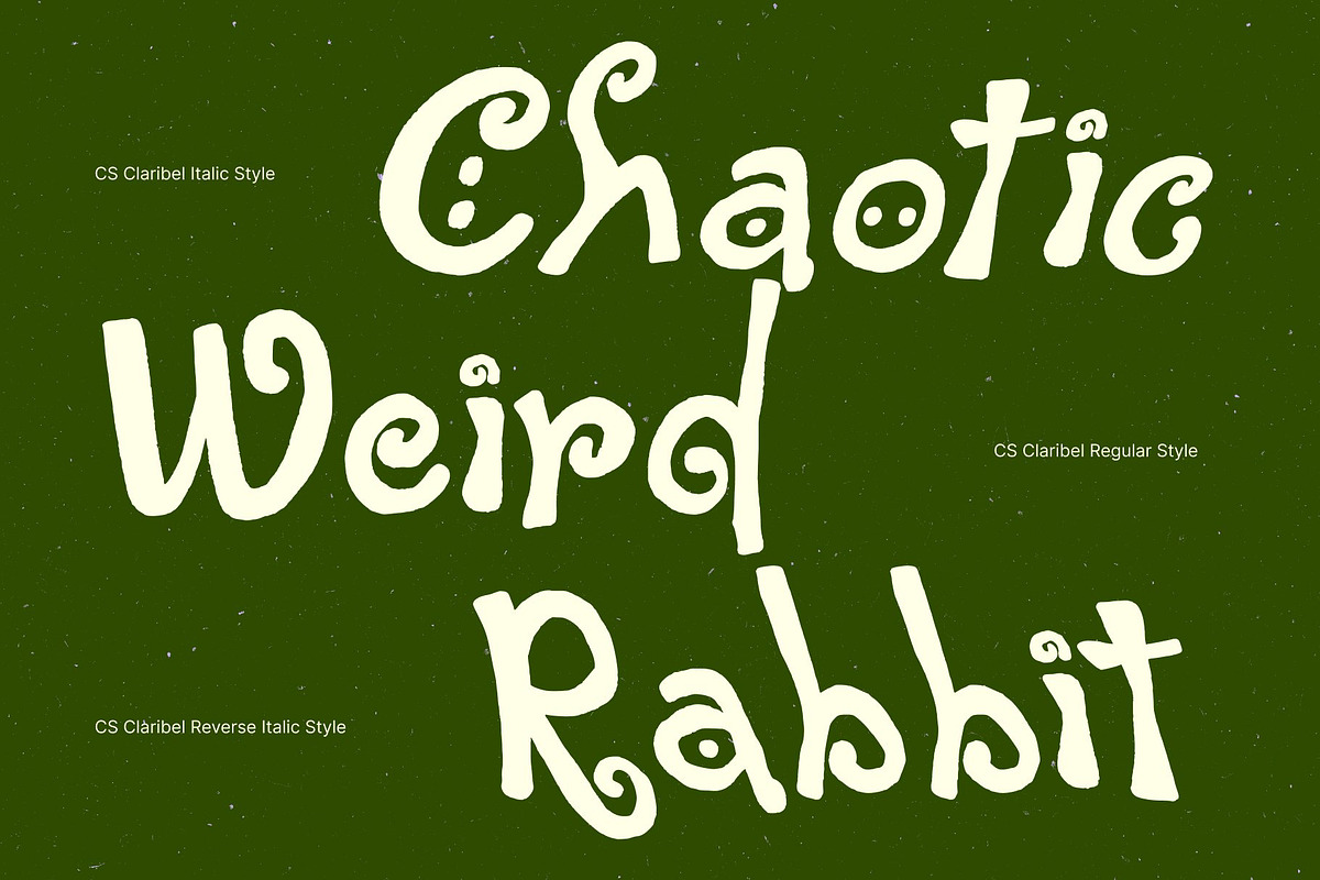 CS Claribel – Decorative Font, a Handwritten Font by Craft Supply Co. (Photo 4 of 8)