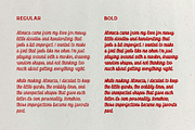 Aloneca Font, a Script Font by DearLailaStudio (Thumbnail 5 of 6)