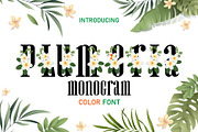 Plumeria Monogram Color Fonts, a Serif Font by Fox7 By Rattana (Thumbnail 1 of 8)