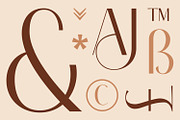 Classy Brune Sans Serif  Typeface, a Sans Serif Font by Typetemp Studio (Thumbnail 3 of 21)