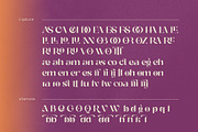 Zitter - Decorative Serif, a Serif Font by Ardyanatypes (Thumbnail 11 of 12)