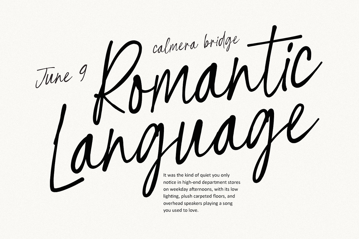 Befinal Cotin Elegant Casual Script, a Script Font by Maulana Creative (Photo 6 of 7)