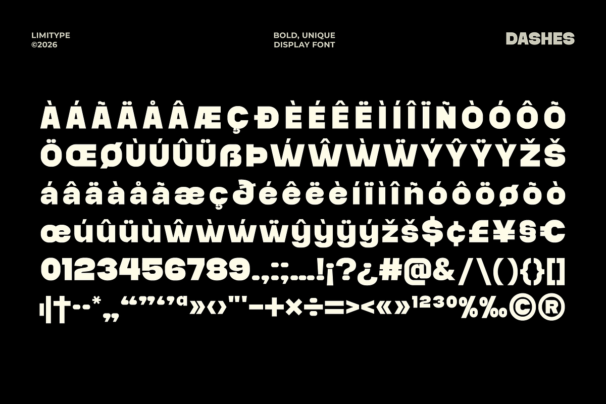Dashes - Bold Font, a Sans Serif Font by limitype (Photo 11 of 12)