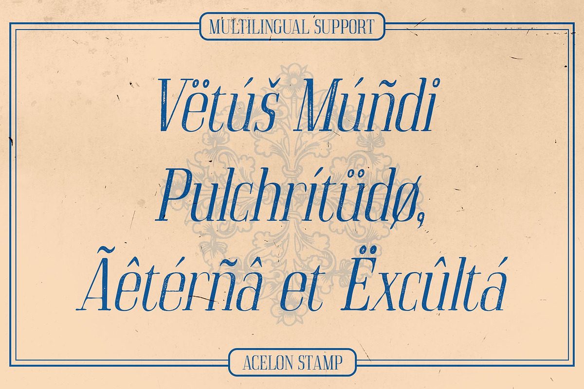 Acelon Stamp, a Serif Font by Craft Supply Co. (Photo 6 of 8)