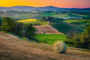 Agricultural landscape at sunrise, a Nature Photo by Alpine Dreams