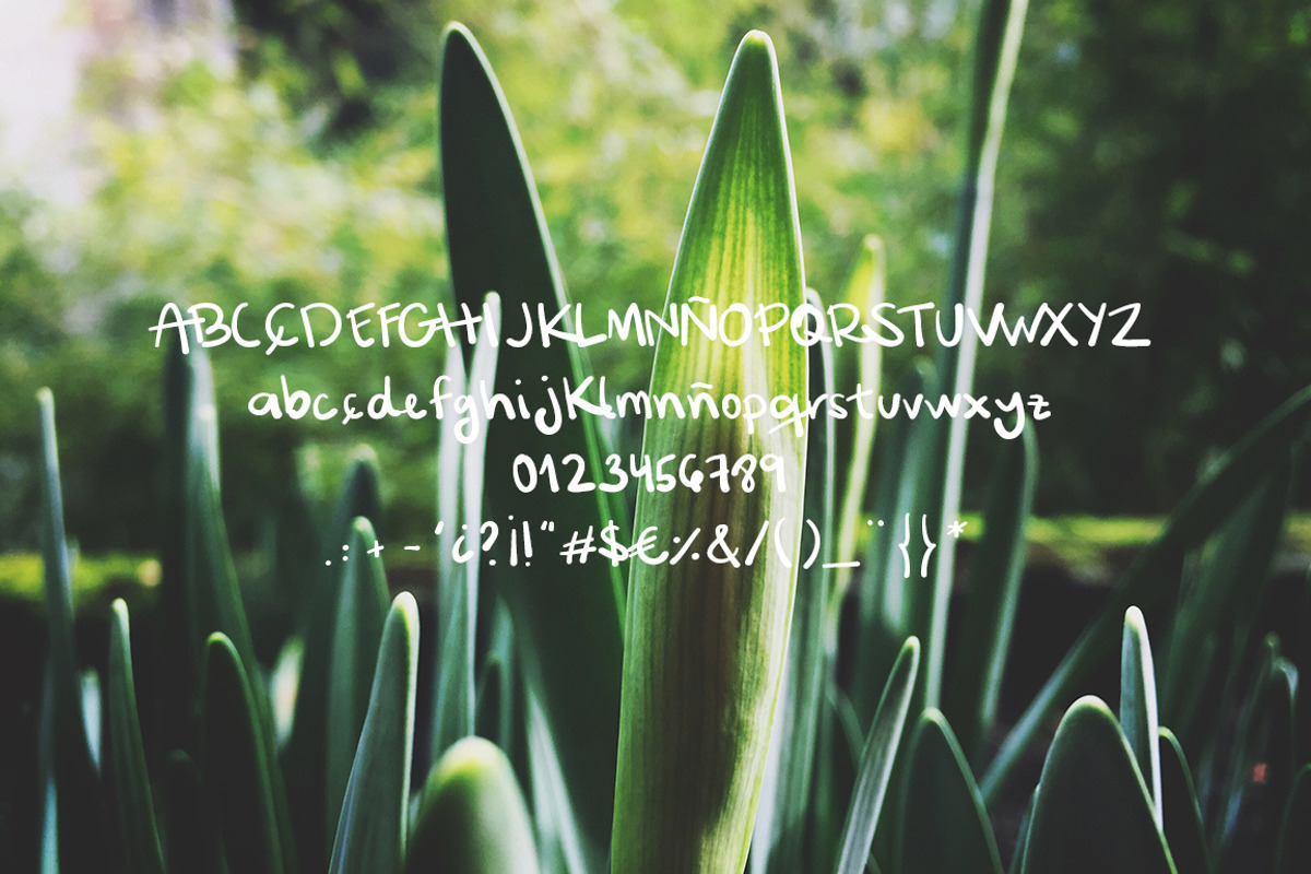 Hand Written Font - Do Not Forget Me preview 4