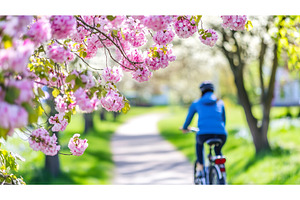 Spring Cycling Scene with Blossoms, a Nature Photo by Lermont51