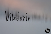 Viktorie, a Script Font by Three Islands Press (Thumbnail 1 of 5)