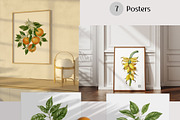 Vintage Botanical clipart, an Object Graphic by mila_leev (Thumbnail 3 of 8)