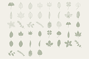 HandDrawn Leaf Library, an Illustration by Linseed Studio (Thumbnail 9 of 9)