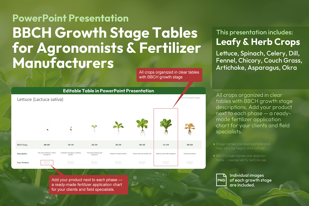 BBCH Growth Stages, Leafy & Herbs, a Presentation Template by Ilia Design (Photo 1 of 9)
