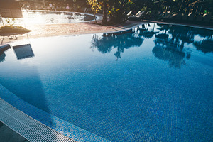 Calm resort pool with palm trees, a Sports & Recreation Photo by SkyNext